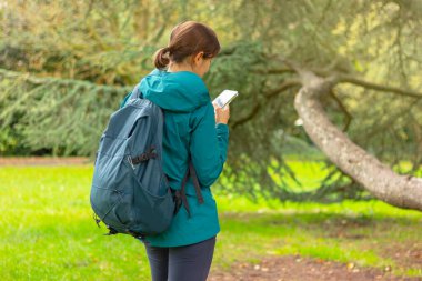 a young woman with a hiking backpack is looking at her mobile phone in the forest, back veiw. nature, hiking, active lifestyle, camping