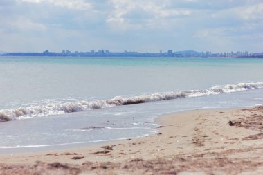 sandy beach with seaweed near the sea, nature