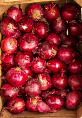 red onions, a natural vegetable background, healthy organic food, vitamins