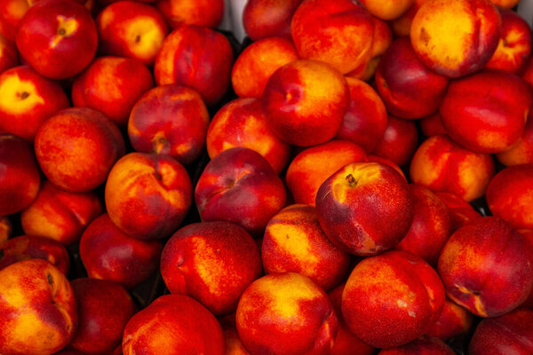 ripe nectarines close up, food natural background. harvest and market.