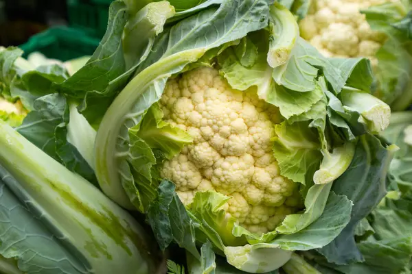 green cauliflower close up, natural background