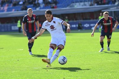 Sasa Lukiç (Torino Fc) İtalya 'nın Bologna şehrindeki Renato Dall' Ara Stadyumu 'nda oynanan Bologna FC maçında penaltıyı attı.
