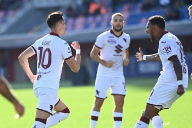Sasa Lukiç (Torino Fc) İtalya futbol takımı Serie A maçında attığı golü Bologna FC ile Torino FC karşılaşmasında İtalya 'nın Bologna kentindeki Renato Dall' Ara stadyumunda kutladı.