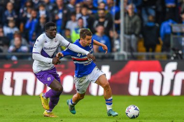 Joseph Alfred Duncan (Fiorentina) - İtalya futbol takımı Serie A maçında Filip Curiciç (Sampdoria) - İtalya 'nın Cenova kentinde bulunan Luigi Ferraris Stadyumu' nda UC Sampdoria ile ACF Fiorentina maçı, Kasım 06, 2022 - Fotoğraf: Danilo Vig