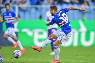 Francesco Caputo (Sampdoria) İtalya futbol takımı Serie A maçında UC Sampdoria, ACF Fiorentina 'ya karşı Cenova, İtalya' daki Luigi Ferraris Stadyumu 'nda, Kasım 06, 2022 - Fotoğraf: Danilo Vig