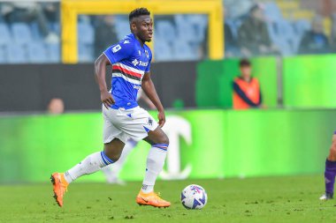 Ronaldo Augusto Vieira Nan (Sampdoria) İtalyan futbol takımı Serie A maçında UC Sampdoria, ACF Fiorentina 'ya karşı, Genova, İtalya' daki Luigi Ferraris stadyumunda, Kasım 06, 2022 - Fotoğraf: Danilo Vig
