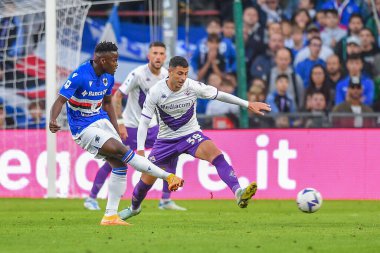 Ronaldo Augusto Vieira Nan (Sampdoria) - Rolando Mandragora (Fiorentina) İtalya Futbol Serisi A maçında UC Sampdoria, ACF Fiorentina 'ya karşı Cenova, İtalya' daki Luigi Ferraris Stadyumu 'nda, Kasım 06, 2022 - Fotoğraf: Danilo Vig