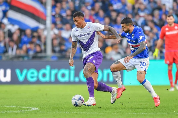 stock image Lucas Martinez Quarta (Fiorentina) - Francesco Caputo  (Sampdoria)  during  italian soccer Serie A match UC Sampdoria vs ACF Fiorentina at the Luigi Ferraris stadium in Genova, Italy, November 06, 2022 - Credit: Danilo Vig