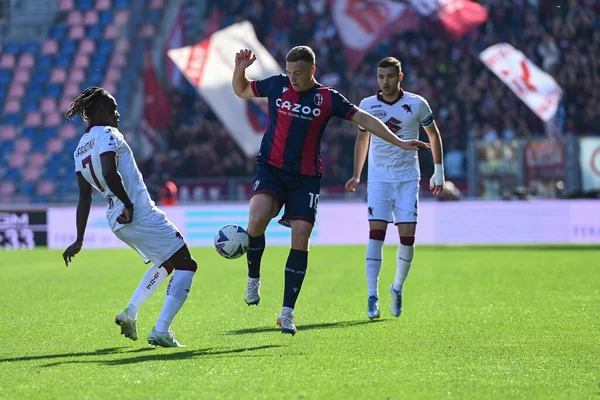 Lewis Ferguson (Bologna FC) İtalya futbol takımı Serie A maçında Bologna FC - Torino FC maçı sırasında İtalya 'nın Bologna kentindeki Renato Dall' Ara Stadyumu 'nda oynuyordu.