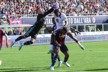 Lukasz Skorupski (Bologna Fc) İtalya futbol takımı Serie A maçında Bologna FC Torino FC 'ye karşı Bologna, İtalya' nın Bologna kentindeki Renato Dall 'Ara stadyumunda, Kasım 06, 2022 - Fotoğraf: Gianluca Ricc