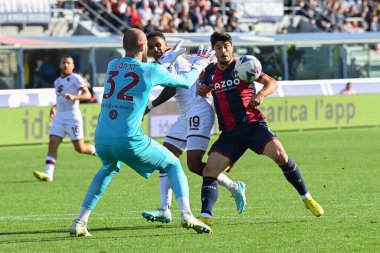 Riccardo Orsolini (Bologna Fc) İtalya futbol takımı Serie A maçında Bologna FC Torino FC 'ye karşı Bologna, İtalya' da Renato Dall 'Ara stadyumunda, Kasım 06, 2022 - Fotoğraf: Gianluca Ricc