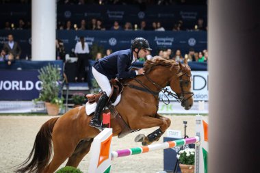 Mark Mcauley (at: Django Ste Hermelle) Uluslararası At Biniciliği 2022 Dünya Kupası sırasında İtalya 'nın Verona şehrinde düzenlenen 124. Fieracavalli Dünya Kupası' nda (at: Django Ste Hermelle)