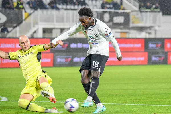 stock image Spezia's M'Bala Nzola  during  italian soccer Serie A match Spezia Calcio vs Udinese Calcio at the Alberto Picco stadium in La Spezia, Italy, November 08, 2022 - Credit: Cucco Ricucch