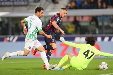 Marko Arnautoviç (Bologna FC), İtalya 'nın Bologna kentindeki Renato Dall' Ara stadyumunda oynanan Bologna FC maçında 12 Kasım 2022 tarihinde gol attı - Fotoğraf: Luca Amedeo Bizzarr