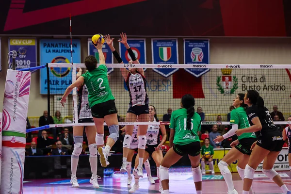 Uyba Üniformalı Alice Degradi Work Busto Arsizio Volley Serie Bayanlar — Stok fotoğraf
