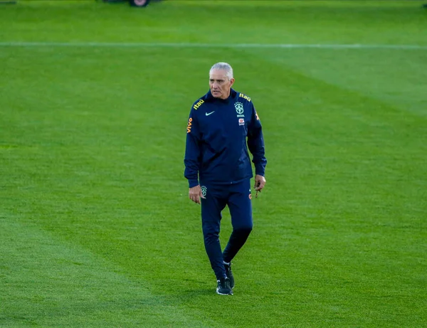 stock image Tite head coach of Brazil during Brazil National football team traning, before the finale stage of the World Cup 2022 in Qatar, at Juventus Training Center, 16 November 2022, Turin, Italy. Photo Nderim Kaceli - Credit: Nderim Kaceli/LiveMedi