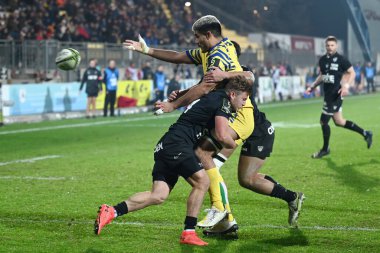 Taina matamua (zebre) Rugby Kupası sırasında Parme Zebre Toulon 'a karşı Parma, İtalya' daki Sergio Lanfranchi Stadyumu 'nda, 10 Aralık 2022 - Fotoğraf: Alessio Tarpin