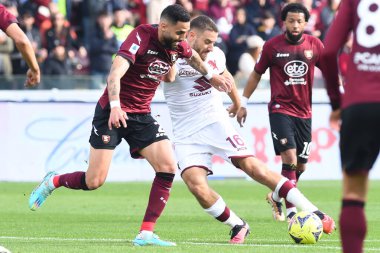 Dylan Bronn of US Salernitana  and Nikola Vlasic of Torino FC  competes for the ball with during the friendly football match US Salernitana 1919 v FC Torino  at Arechi stadium  - Credit: Agostino Gemito/LiveMedi