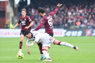 Nemanja Radonjic of Torino FC  and Antonio Candreva of US Salernitana  competes for the ball with during the friendly football match US Salernitana 1919 v FC Torino  at Arechi stadium  - Credit: Agostino Gemito/LiveMedi