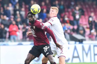 Boulaye Dia of US Salernitana  and Perr Schuurs of Torino FC  competes for the ball with during the friendly football match US Salernitana 1919 v FC Torino  at Arechi stadium  - Credit: Agostino Gemito/LiveMedi