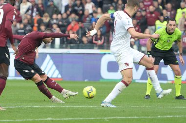 Federico Bonazzoli of US Salernitana  in action  during the Serie A match between US Salernitana 1919 v FC Torino  at Stadio Arechi   - Credit: Danilo Gemito/LiveMedi