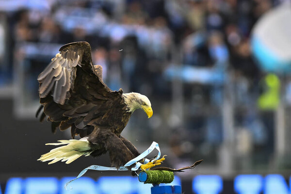 Олимпия во время 17-го дня чемпионата Серии А между ФК "Лацио" и "Эмполи" 8 января 2023 года на стадионе Олимпико в Риме, Италия. - Фото: Доменико Чиппителли / LiveMedi