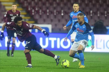 Tonny Vilhena of US Salernitana  competes for the ball with Stanislav Lobotka of SSC Napoli   during the Serie A match between US Salernitana 1919 v SSC Napoli at Arechi  Stadium  - Credit: Agostino Gemito/LiveMedi
