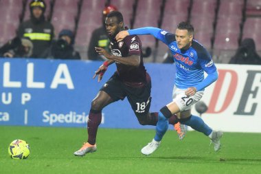 Lassana Coulibaly of US Salernitana  competes for the ball with Piotr Zielinski of SSC Napoli   during the Serie A match between US Salernitana 1919 v SSC Napoli at Arechi  Stadium  - Credit: Agostino Gemito/LiveMedi