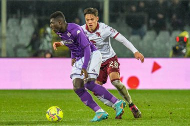 Fiorentina's Alfred Duncan hampered by Torino's Samuele Ricci during italian soccer Serie A match ACF Fiorentina vs Torino FC at the Artemio Franchi stadium in Florence, Italy, January 21, 2023 - Credit: Fabio Fagiolin