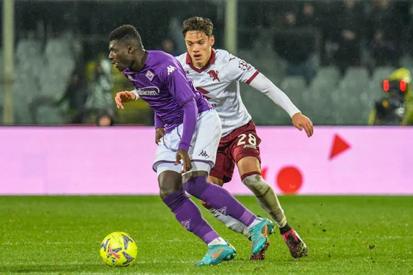 Fiorentina's Alfred Duncan hampered by Torino's Samuele Ricci during italian soccer Serie A match ACF Fiorentina vs Torino FC at the Artemio Franchi stadium in Florence, Italy, January 21, 2023 - Credit: Fabio Fagiolin