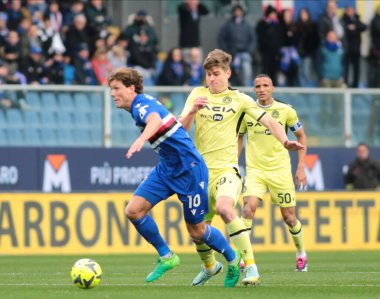 Sam Lammers of UC Sampdoria during the Italian Serie A, football match between Uc Sampdoria and Udinese Calcio on January 22, 2023 at Luigi Ferraris Stadium, Genova, Italy. Photo Nderim Kaceli - Credit: Nderim Kaceli/LiveMedi