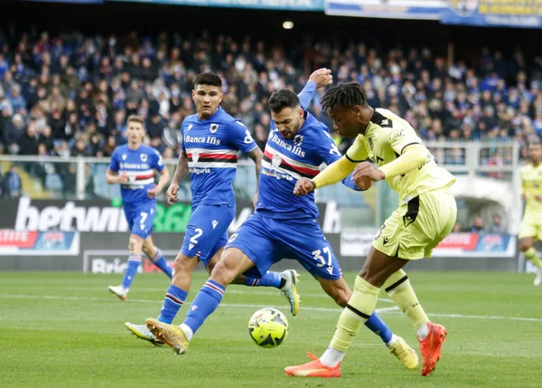 Destiny Udogie of Udinese Calcio during the Italian Serie A, football match between Uc Sampdoria and Udinese Calcio on January 22, 2023 at Luigi Ferraris Stadium, Genova, Italy. Photo Nderim Kaceli - Credit: Nderim Kaceli/LiveMedi