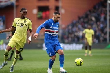 Fabio Quagliarella of UC Sampdoria during the Italian Serie A, football match between Uc Sampdoria and Udinese Calcio on January 22, 2023 at Luigi Ferraris Stadium, Genova, Italy. Photo Nderim Kaceli - Credit: Nderim Kaceli/LiveMedi