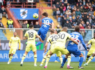 Sam Lammers of UC Sampdoria during the Italian Serie A, football match between Uc Sampdoria and Udinese Calcio on January 22, 2023 at Luigi Ferraris Stadium, Genova, Italy. Photo Nderim Kaceli - Credit: Nderim Kaceli/LiveMedi