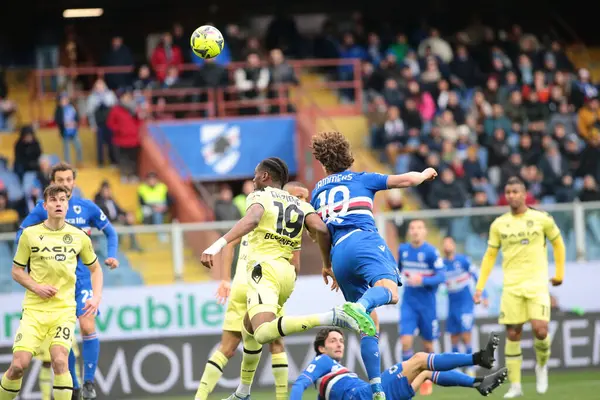 Kingsley Ehizibue of Udinese Calcio and Sam Lammers of UC Sampdoria during the Italian Serie A, football match between Uc Sampdoria and Udinese Calcio on January 22, 2023 at Luigi Ferraris Stadium, Genova, Italy. Photo Nderim Kaceli - Credit: Nderim 