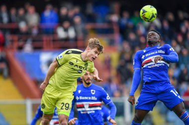 Jaka Bijol (Udinese)
- Ronaldo Augusto Vieira Nan (Sampdoria) during italian soccer Serie A match UC Sampdoria vs Udinese Calcio at the Luigi Ferraris stadium in Genova, Italy, January 22, 2023 - Credit: Danilo Vig