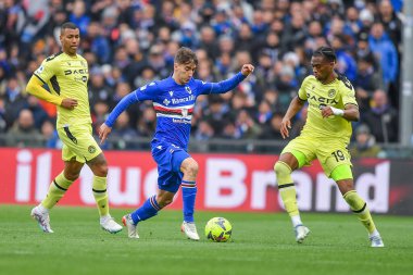 Filip Djuricic (Sampdoria) - Kingsley Ehizibue (Udinese) during italian soccer Serie A match UC Sampdoria vs Udinese Calcio at the Luigi Ferraris stadium in Genova, Italy, January 22, 2023 - Credit: Danilo Vig