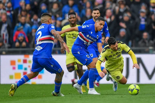 Bruno Amione (Sampdoria) - Abdelhamid Sabiri (Sampdoria) - Jean-Victor Makengo Udinese) during italian soccer Serie A match UC Sampdoria vs Udinese Calcio at the Luigi Ferraris stadium in Genova, Italy, January 22, 2023 - Credit: Danilo Vig