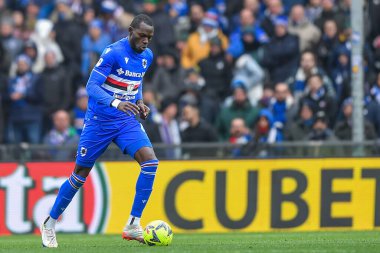 Omar Colley (Sampdoria) during italian soccer Serie A match UC Sampdoria vs Udinese Calcio at the Luigi Ferraris stadium in Genova, Italy, January 22, 2023 - Credit: Danilo Vig