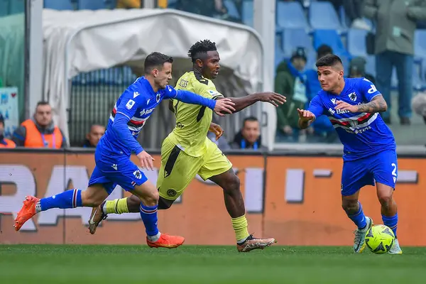 Valerio Verre  (Sampdoria) - Isaac Success (Udinese)
- Bruno Amione (Sampdoria) during italian soccer Serie A match UC Sampdoria vs Udinese Calcio at the Luigi Ferraris stadium in Genova, Italy, January 22, 2023 - Credit: Danilo Vig