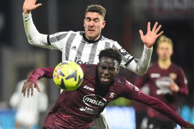 Junior Sambia of US Salernitana  competes for the ball with Dusan Vlahovic of Juventus FC  during the Serie A match between US Salernitana 1919 v Juventus FC  at Arechi  Stadium  - Credit: Agostino Gemito/LiveMedi
