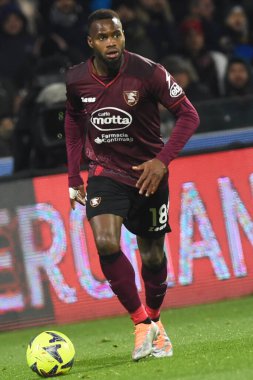 Lassana Coulibaly of US Salernitana  in action during the Serie A match between US Salernitana 1919 v Juventus FC  at Stadio Arechi   - Credit: Agostino Gemito/LiveMedi