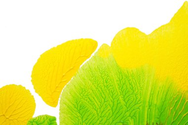 yeşil sarı ve kahverengi soyut akrilik boya renk dokusu beyaz kağıt arkaplan üzerinde rorschach mürekkep lekesi yöntemi kullanılarak