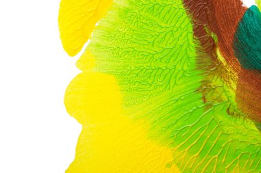 yeşil sarı ve kahverengi soyut akrilik boya renk dokusu beyaz kağıt arkaplan üzerinde rorschach mürekkep lekesi yöntemi kullanılarak