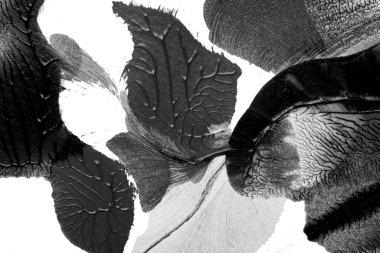 Beyaz kağıda akrilik renkler çizdim ve kağıdı karıştırılmış akrilik renklerin dokusunu oluşturan rorschach mürekkep lekesine benzer şekilde katladım..