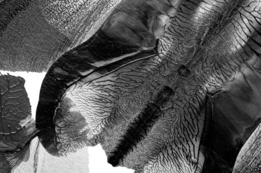 Beyaz kağıda akrilik renkler çizdim ve kağıdı karıştırılmış akrilik renklerin dokusunu oluşturan rorschach mürekkep lekesine benzer şekilde katladım..