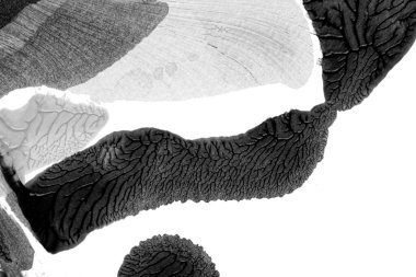 Beyaz kağıda akrilik renkler çizdim ve kağıdı karıştırılmış akrilik renklerin dokusunu oluşturan rorschach mürekkep lekesine benzer şekilde katladım..