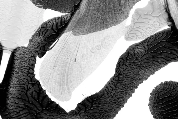 Beyaz kağıda akrilik renkler çizdim ve kağıdı karıştırılmış akrilik renklerin dokusunu oluşturan rorschach mürekkep lekesine benzer şekilde katladım..