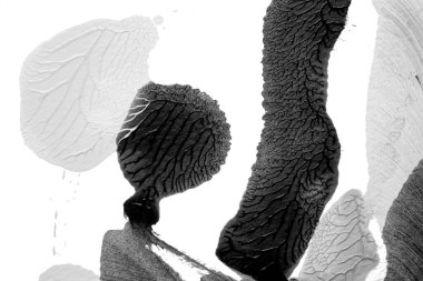 Beyaz kağıda akrilik renkler çizdim ve kağıdı karıştırılmış akrilik renklerin dokusunu oluşturan rorschach mürekkep lekesine benzer şekilde katladım..