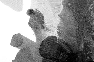 Beyaz kağıda akrilik renkler çizdim ve kağıdı karıştırılmış akrilik renklerin dokusunu oluşturan rorschach mürekkep lekesine benzer şekilde katladım..